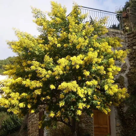 Appartamento Detox Roccabruna