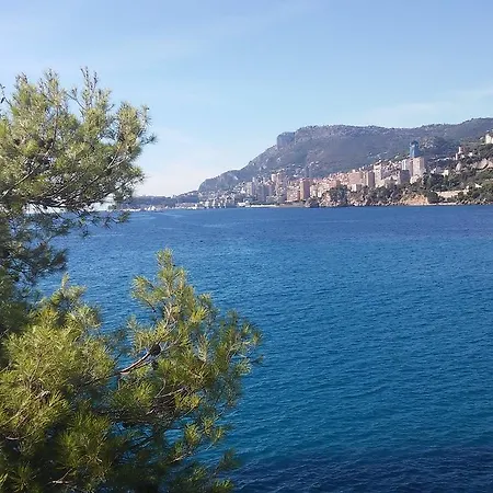 Detox Roccabruna